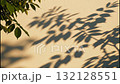 Time-lapse of tree leaf shadows on a wall during sunset. Vertical video of golden hour light fading to dusk. Abstract nature background with copy space 132128551