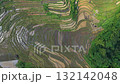Captivating aerial view of lush green rice terraces in Pu Luong, Vietnam, showcasing agricultural beauty and stunning natural landscapes 132142048