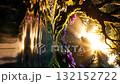 An enchanting glade filled with shimmering pollen and sunlight with ripples on the water 132152722