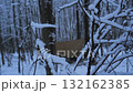 Snow-covered forest with makeshift shelter hidden among trees 132162385