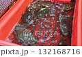 4K Many a live crab in basket selling on market 132168716