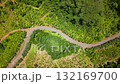 Curving Road Surrounded by Palm Trees and Dense Tropical Forest aerial top view 132169700