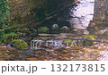 Pristine water streaming underneath historic stone arch bridge, revealing serene rural landscape with lush green vegetation and soft sunlight filtering through woodland foliage 132173815
