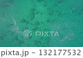 Underwater View of Sandy Ocean Floor with Rocks 132177532