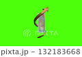 Maldives 50 Rufiyaa Gold Arrow Green Screen Economic Growth Background 132183668