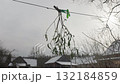 Green Mistletoe Twig Sprig with White Berries Seed Balls Hanging on a Rope on Cold Snowy Winter Day 132184859