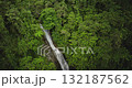 Fiji, Nadi Waterfall: Breathtaking aerial view of stunning waterfall flowing through the lush green canopy of a tropical rainforest. Wild nature landscape. Drone flight footage panorama Fiji, Nadi Waterfall: Breathtaking aerial view of stunning waterfall flowing through the lush green canopy of a tropical rainforest. Wild nature landscape. Drone flight footage panorama 132187562