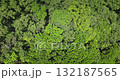 Dense, lush forest canopy, showcasing nature beauty, perfect for environmental and travel projects background. Drone flight footage capturing a breathtaking aerial view of green leaves moving on wind Dense, lush forest canopy, showcasing nature beauty, perfect for environmental and travel projects background. Drone flight footage capturing a breathtaking aerial view of green leaves moving on wind 132187565