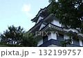 castle, castles, castle tower 132199757