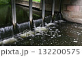 View of a dam with flowing water. 132200575
