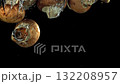 Mushrooms fall under water. Filmed on a high-speed camera at 1000 fps. High quality FullHD footage 132208957