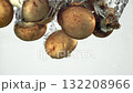 Mushrooms fall under water. Filmed on a high-speed camera at 1000 fps. High quality FullHD footage 132208966