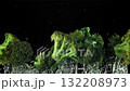 Broccoli rises and falls. Filmed on a high-speed camera at 1000 fps. High quality FullHD footage 132208973