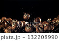 Mushrooms fly up and fall down. Filmed on a high-speed camera at 1000 fps. High quality FullHD footage 132208990