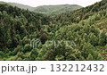 Vast deep green forest valley in the Carpathian mountains under an overcast sky, showcasing mixed tree species 132212432
