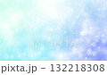 雪花 132218308