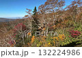 Autumn foliage seen from the Asahidake Ropeway 132224986