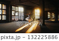 A Dancer's Graceful Exploration of Light and Shadow in an Abandoned Space, Capturing the Elegance and Beauty of Movement in a Serene Environment. 132225886