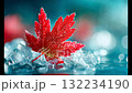 Bright red maple leaf resting on glistening ice crystals, capturing the contrast between warmth and cold in vivid macro detail 132234190