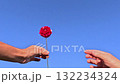 Hands exchanging red flower under blue summer sky 132234324