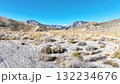 Aerial of Desert Trail and Mountains in Nevada Fly Through 132234676