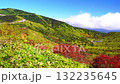 秋の山田峠 132235645