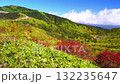 秋の山田峠 132235647
