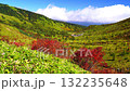 秋の山田峠 132235648