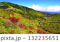 秋の山田峠 132235651