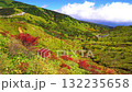 秋の山田峠 132235658
