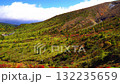 秋の山田峠 132235659