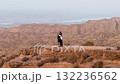 Romantic couple hugging overlooking a vast desert canyon landscape 132236562