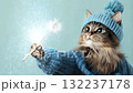 Cute cat in blue sweater and knitted hat waves a magic wand with silver sparks. Charming animation for Christmas, New Year, or magic and wizardry theme 132237178