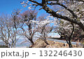 高森峠千本桜 132246430