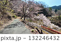 高森峠千本桜 132246432