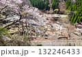 高森峠千本桜 132246433