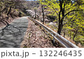 高森峠千本桜 132246435