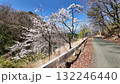 高森峠千本桜 132246440