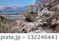 高森峠千本桜 132246441