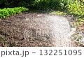 Water spraying over soil in garden under sunlight 132251095