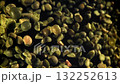 Green peas fly and fall. Filmed on a high-speed camera at 1000 fps. High quality FullHD footage 132252613