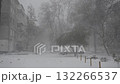 A winter landscape during a severe snowstorm. Gusts of wind lift the snow, creating a thick white blanket. A thick layer of snow lies on the ground. Cold, the elements, and the blizzard. 132266537