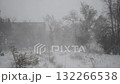 A winter landscape during a severe snowstorm. Gusts of wind lift the snow, creating a thick white blanket. A thick layer of snow lies on the ground. Cold, the elements, and the blizzard. 132266538