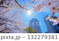 Cherry Blossoms Bloom Under a Sunny Sky in an Urban Setting During Springtime Generative AI 132279381