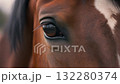 馬の目の瞬き 132280374