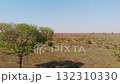 Flight over the savannah in the Kruger Park area. 132310330