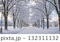 Snow-covered trees line a quiet park avenue as snow gently falls, creating a peaceful winter landscape 132311132
