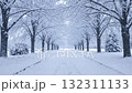Tranquil winter scene with rows of snow-laden trees in a park avenue, soft snowflakes drifting down 132311133