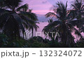 Drone flies to the sea through palm trees showing a beautiful pink sunset. Pink sunset on tropical beach. Cinematic aerial shot of Idyllic tropical sunset over calm ocean framed by palm leaves. 132324072