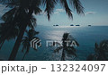 Evening coast framed by tropical trees. Dark silhouettes of palm trees framing sparkling turquoise ocean with distant islands on horizon under clear sky create serene tropical paradise scene 132324097